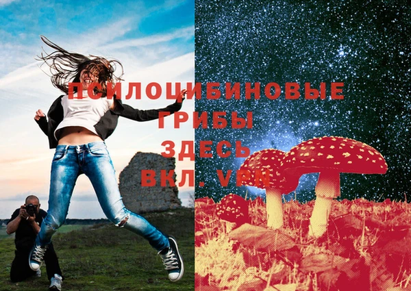 амф Алзамай